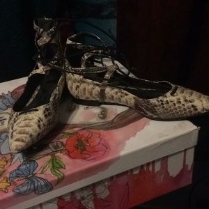 Schutz snake flats